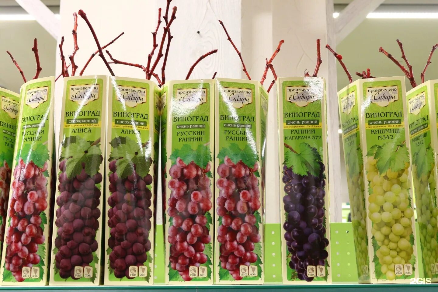 Садовник киров каталог. Семена садовник киров. Саженцы роз сибирских "семена алтая". Кирова 61 томск. Киров магазин садовник комсомольская 27.