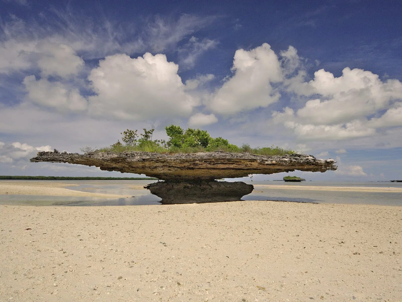 Floating island. Остров Альдабра Сейшельские острова. Атолл Альдабра на Сейшелах. Альдабра (группа островов). Атолл Альдабра Африка.