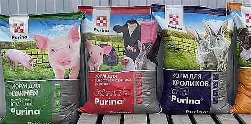 Корм опт пурина