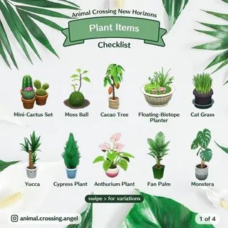 Planted crossed