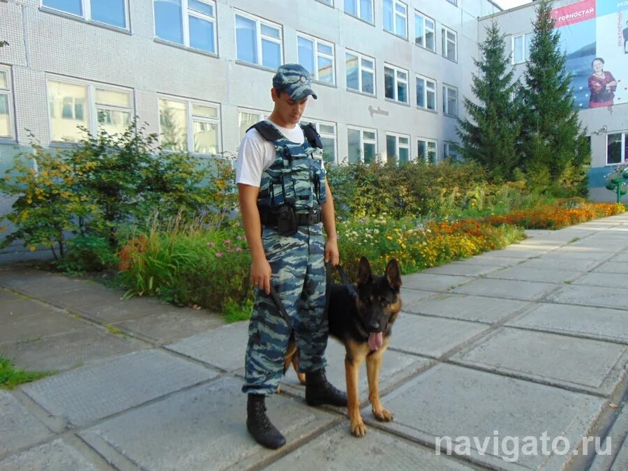 Протвино губернский колледж кинология. Кинологический центр службы тверь. Колледж кинологии в серпухове. Кинолог новосибирск после 9 класса. Кинолог новосибирск после 9 класса.