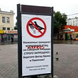 Запретить ростов