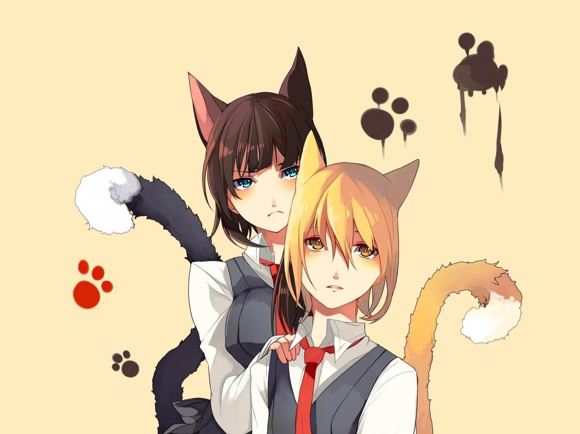 Кошка девочка коллет