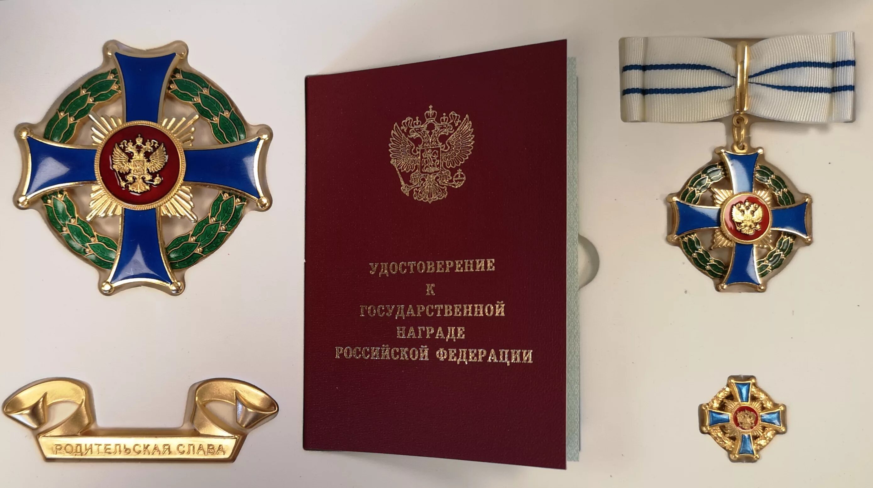 Родительский орден как получить. Медаль родительская слава рф. медаль ордена родительская слава. медаль ордена родительская слава 2025. статут ордена родительская слава женский знак.