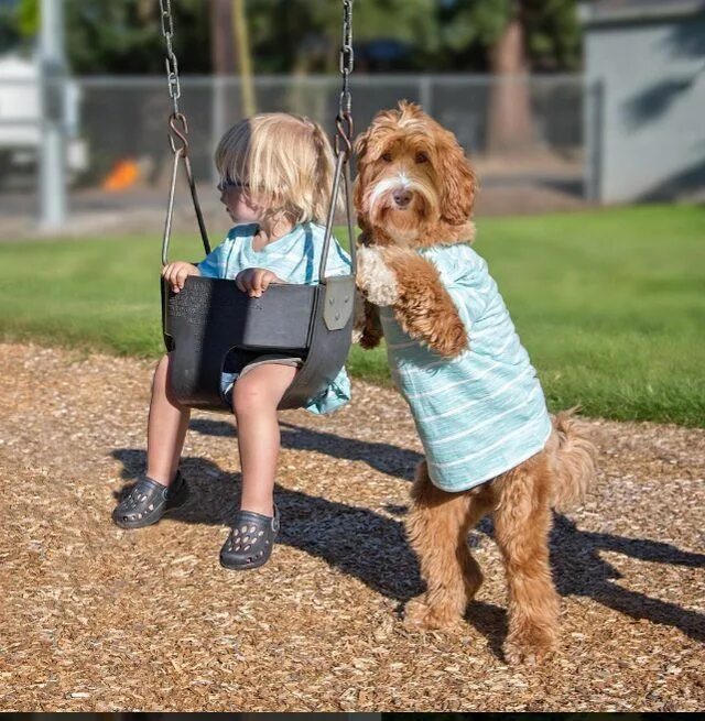 Little push
