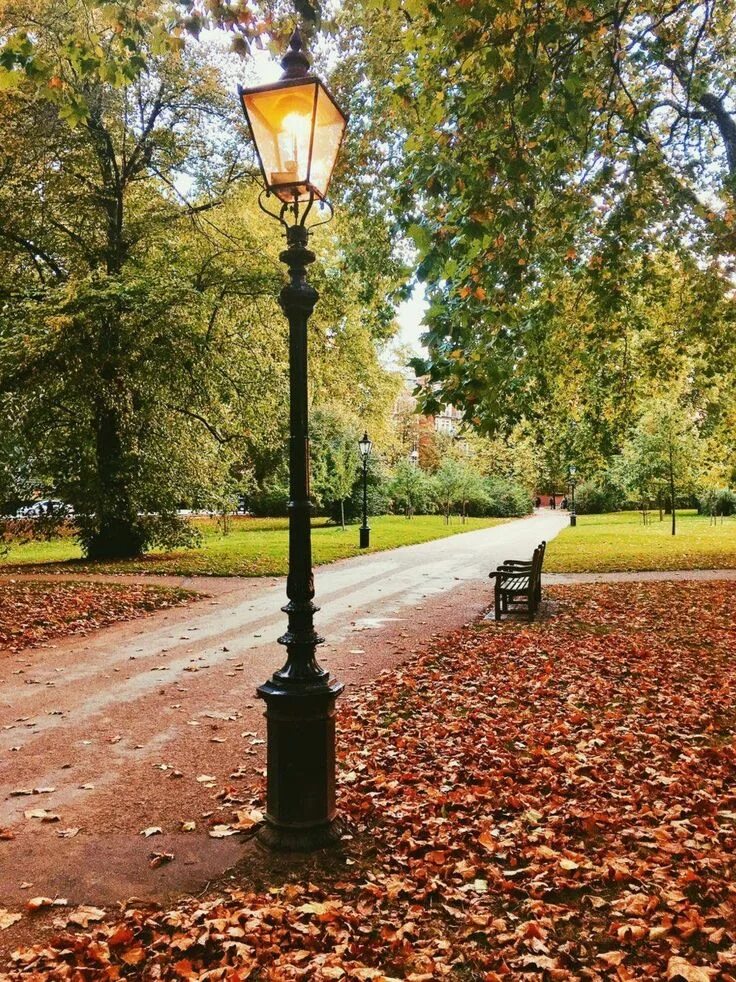 Алгоритм выполнения задания. Конец сентября диктант 8 класс. Август яблоня деревня. Осеннее поле. Выпиши из предложения антонимы.