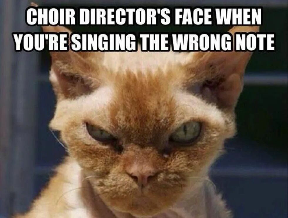 Хмурый Мем. Choir meme. L like singing