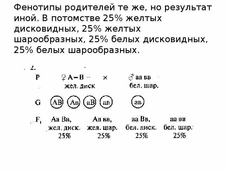 Каковы генотипы родителей и потомков. Фенотип потомства. В потомстве растений тыквы с белыми дисковидными плодами. От скрещивания двух растений с белыми дисковидными.