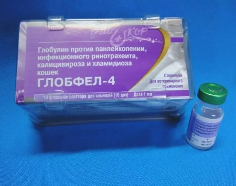 Глобфел. Глобфел-4 для кошек. Глобфел. Глобфел-4 для кошек. Вакцина для кошек мультифел 5.