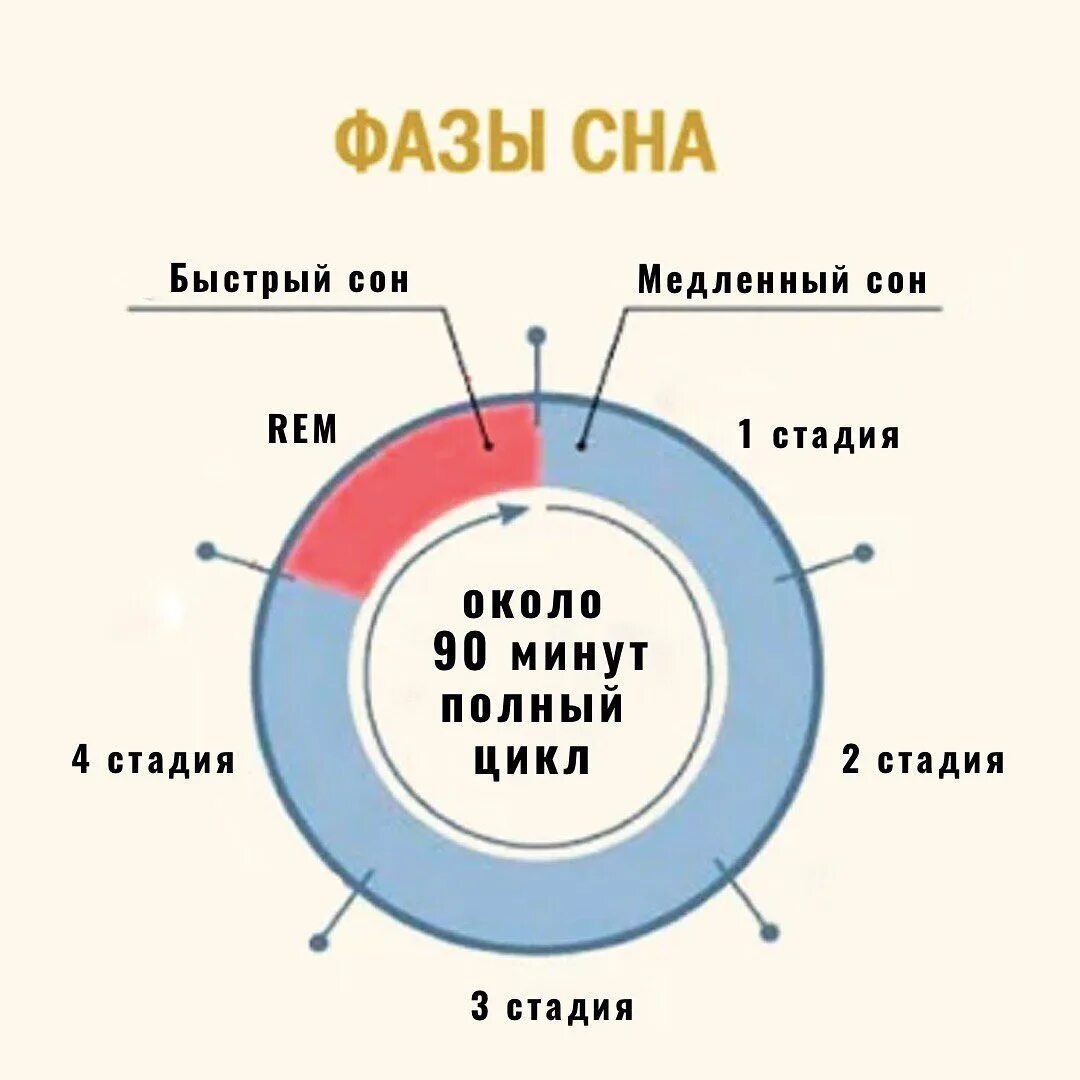 90 минут сон