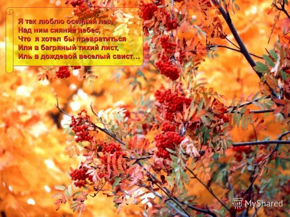 багряный словосочетание. предложение со словом багровый. рдяный цвет. цитаты из произведения алые паруса. багряный словосочетание.