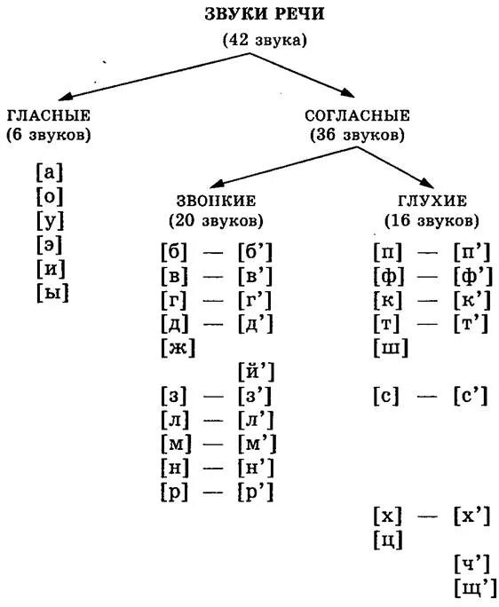 Звуки звуко буквенный анализ. Фонетический разбор слова схема таблица. Схема фонетического разбора 2 класс. Фонетический разбор схема фонетического. Таблица гласных звуков для фонетического разбора.