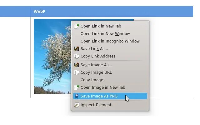 Как сохранить в формате webp. Save image as. расширение для хрома save image as type. расширение save image as png. хром webp.