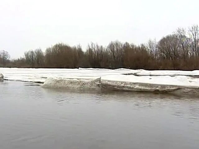 Уровень воды в реке уй. Курганская область паводок. Река уй Троицкое водохранилище. Река Северный уй. Река уй Курганская область.