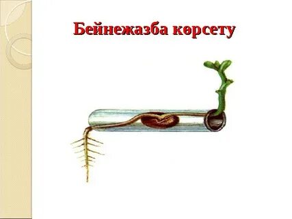 Жағажайда жыныстық қатынасқа түскен