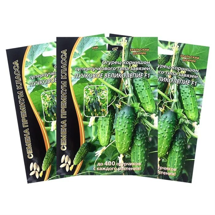 пучковое великолепие f1. огурец пучковое великолепие f1 уральский дачник. огурец пучковое великолепие f1. огурцы семена пучковые сорта. огурец корнишон сибирская гирлянда f1.