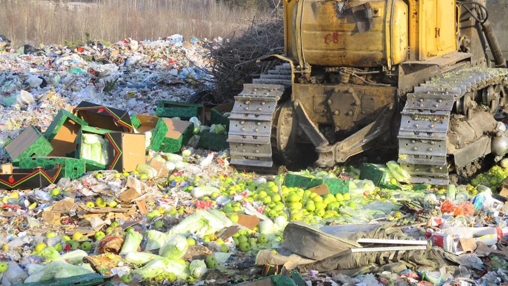 Свалка пищевых отходов. Продукты на свалке. Бульдозер на свалке. Уничтожение продуктов на свалке. Отходч вый