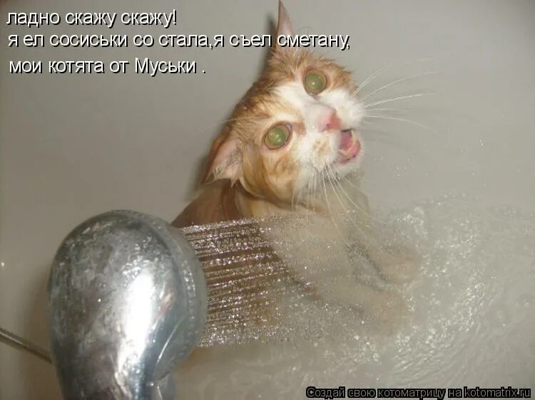 Ладно прости меня. Ладно говорила. Когда вместо ладно сказал добро мем. Когда вместо окей сказал добро. Ладно прохладно.