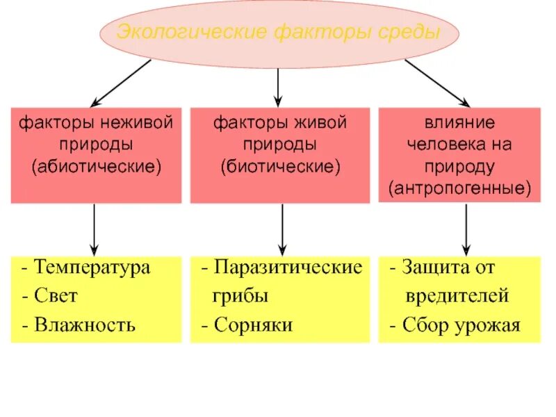 Какие из этих факторов можно назвать случайными