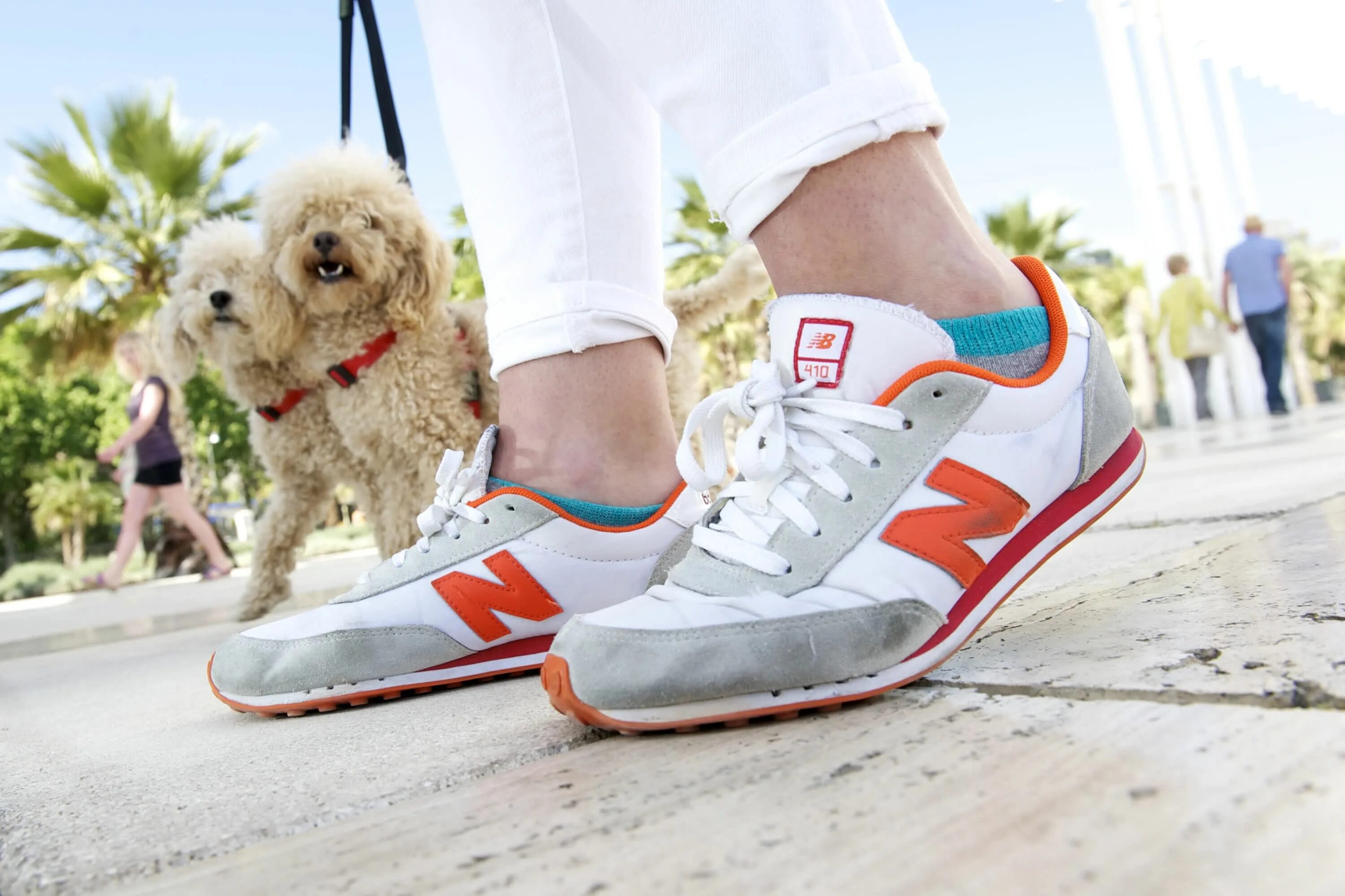 New balance official. Нью Бэлэнс Атлетикс, Инк (New Balance Athletics, Inc. New Balance 554. New Balance для собак.