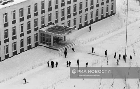 Школа 438 лисий