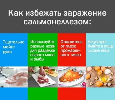Сальмонелла симптомы у взрослых лечение
