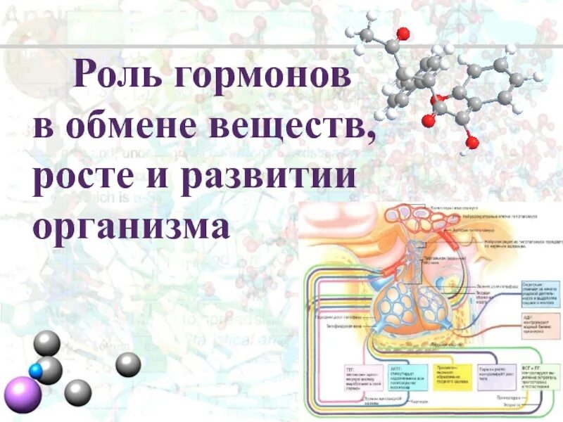 Раскройте роль гормонов в обмене веществ росте. Роль гормонов в обмене веществ. Роль гормонов в росте и развитии организма. Роль гормонов в обмене, росте и развитии организма. Роль гормонов в обмене веществ таблица.