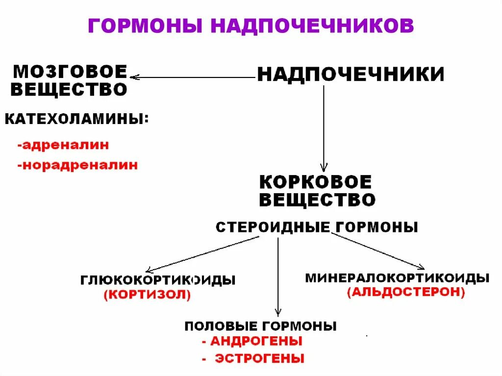 Гормон регулирующий деятельность надпочечников. Гормоны коркового слоя надпочечников таблица. Гормоны надпочечников мозговое вещество таблица. Гормоны коркового вещества надпочечников их роль. Гормоны вырабатываемые мозгом