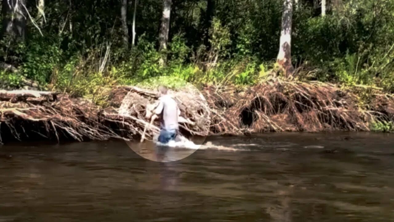 Доносились странные звуки. Испугался. Жуткие звуки леса. Страшные звуки Космонавтов.