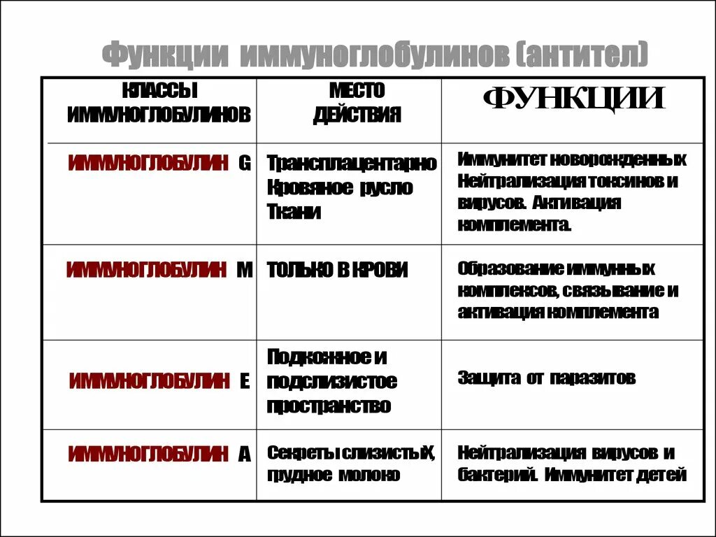 Роль иммуноглобулинов. Функции различных классов иммуноглобулинов. Классы антител и их функции. Иммуноглобулины классы и функции. Типы антител и их функции.