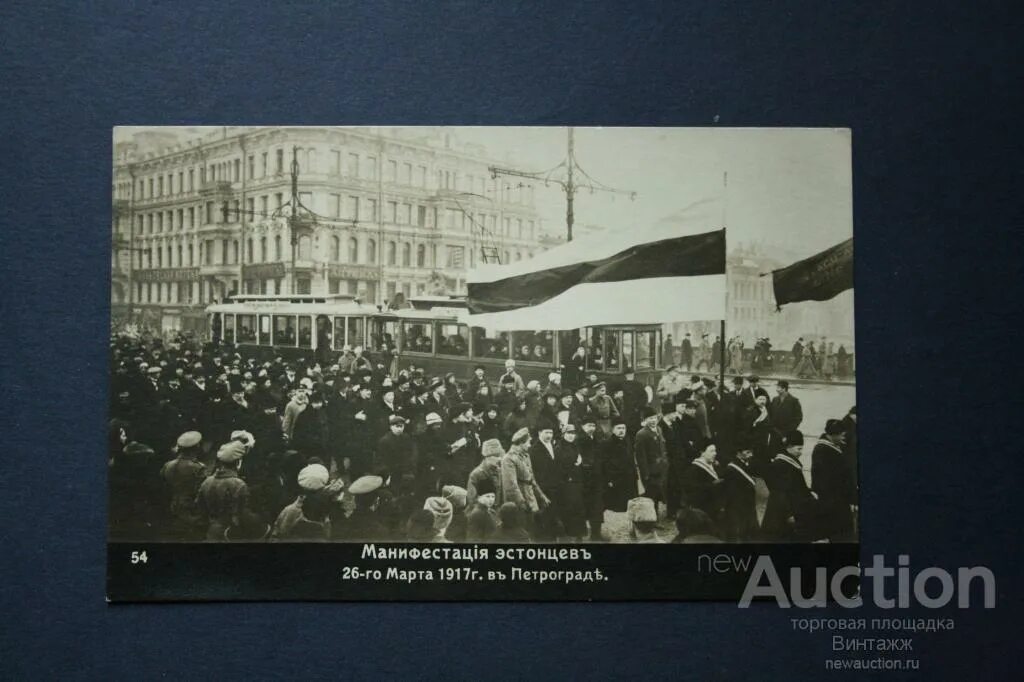 Манифестация инвалидов в петрограде. 1917 год манифестация эстонцев. манифестация инвалидов в петрограде 16 апреля.