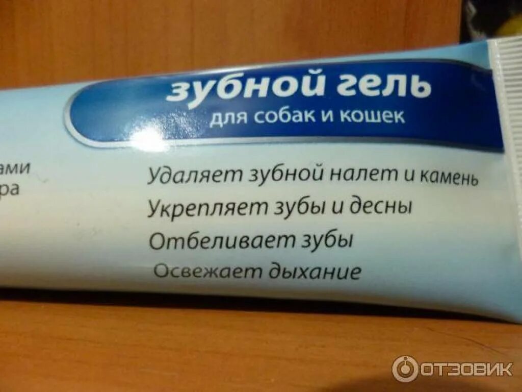 Скалинг гель для удаления зубных. Средство для снятия зубного камня у собак. гель для чистки зубов. паста для снятия зубного камня у собак. гель для зубов от зубного камня.