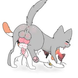 porn for you - Animal porn cat - 1:1, hi res, simple background, all fours,...