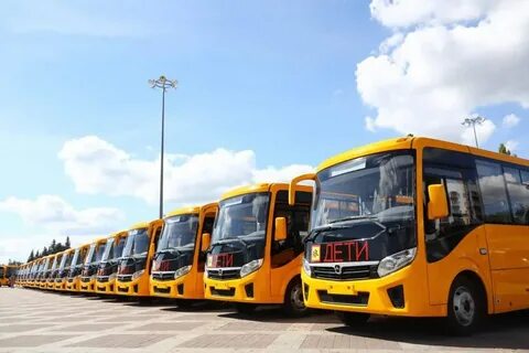 11 школьных автобусов