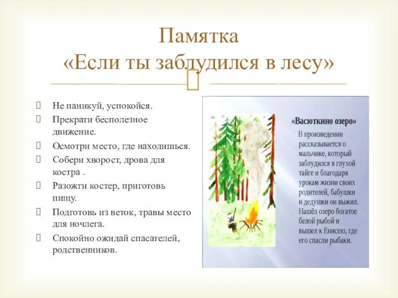 Васюткино озеро памятка как выжить в лесу. Памятка если заблудился в лесу. Памятка если ты заблудился в лесу. Памятка если ты потерялся в лесу. Памятка если ты заблудился в тайге.