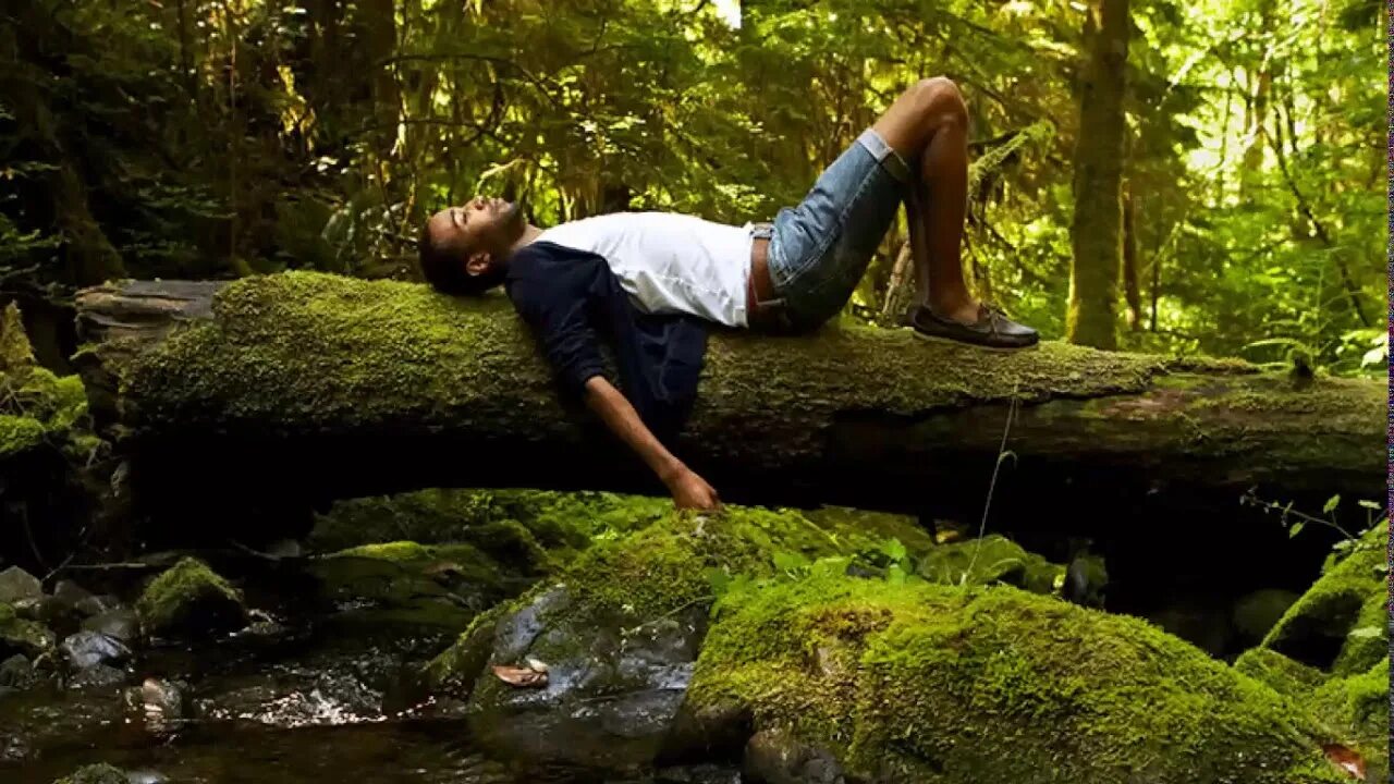 To be closer to nature. Релакс лес. Человек в лесу релакс. Медитация в горах. Парень релакс на природе.