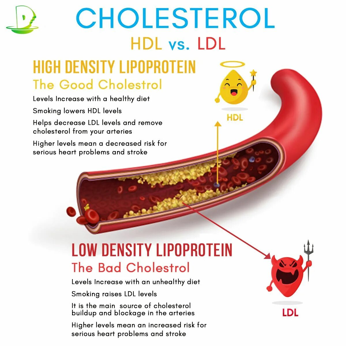 Hdl cholesterol. Hdl холестерин что это. холестерол hdl. ldl cholesterol что это. ldl и hdl холестерин норма.