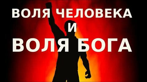 Производное воли