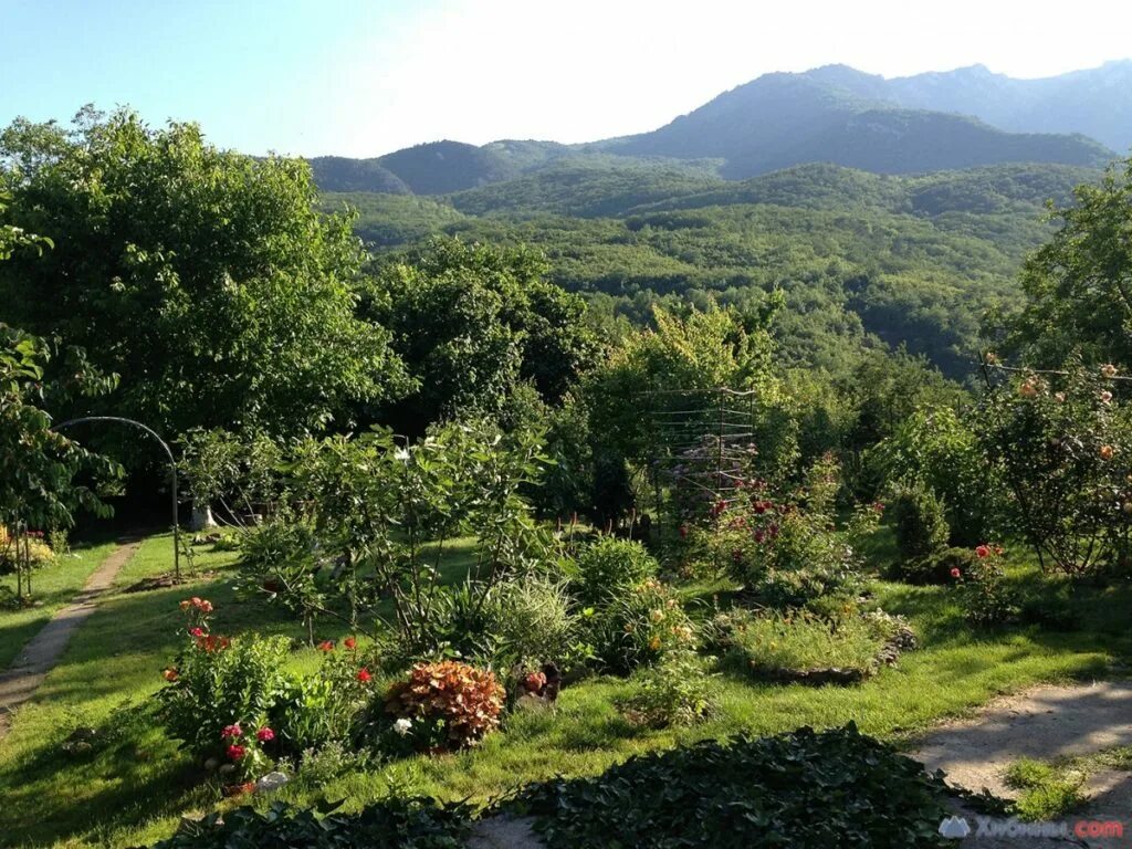 Крым Алушта село Генеральское. Домики в крымских горах. Крым участок красивый. Земельный участок в горах. Авито крым купить земельный участок