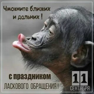 Смешные картинки 30