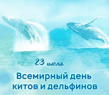 День китов и дельфинов