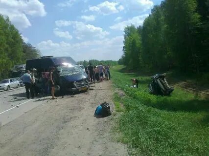 Волк рассказово происшествия