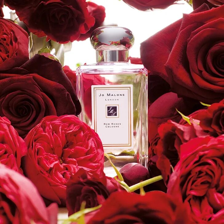 Jo Malone духи. Джо Малон с розой Кологне. Духи розочка