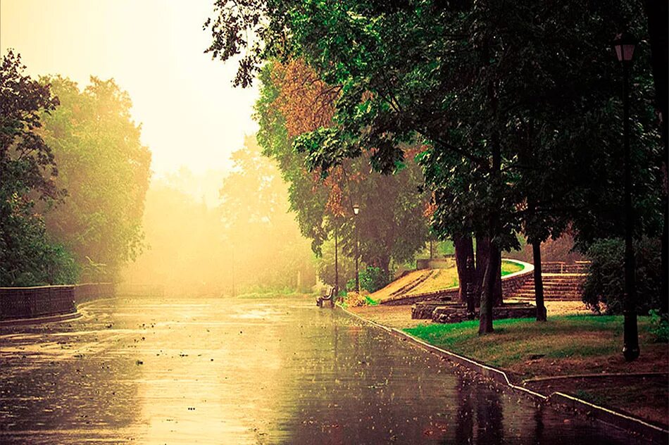 Весна в городе. Дождь в городе. Летний парк после дождя. Дождь летом. Эдуард гордеев новомосковск.