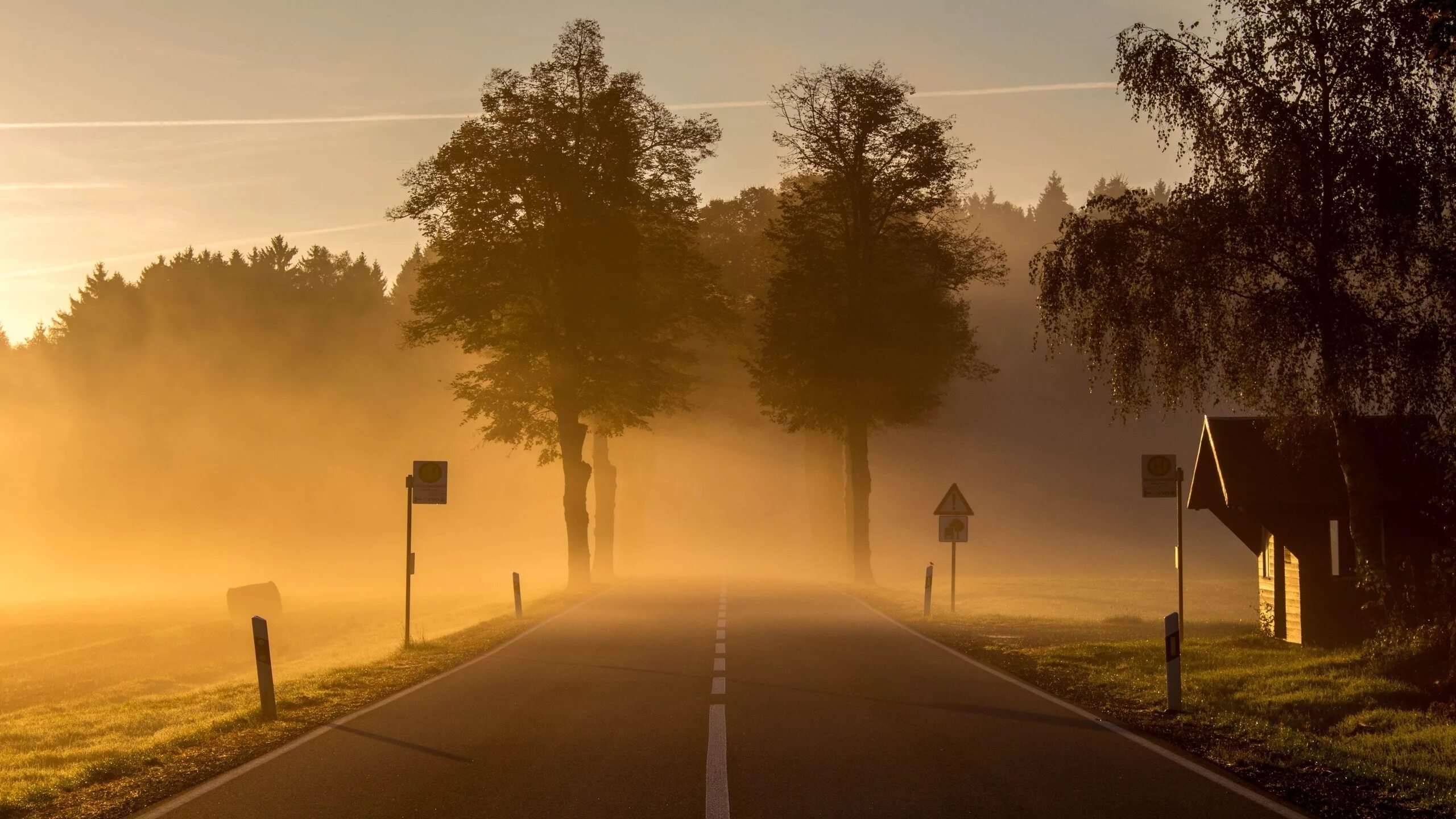 Звук улицы утром. Город в тумане. Утро в городе. Дорога в тумане. Пейзаж дорога.