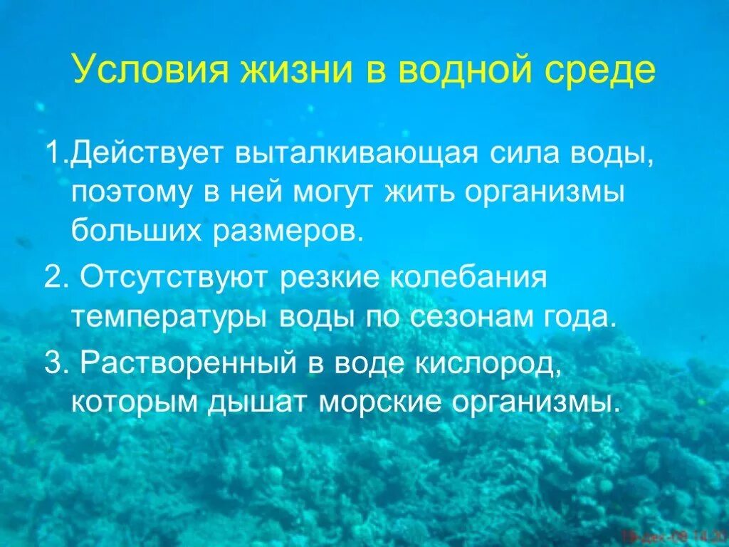 Разнообразие водных организмов. Меры по охране мирового океана. Загрязнение мирового океана цели и задачи. Охрана ресурсов мирового океана. Организмы в морях и океанах.