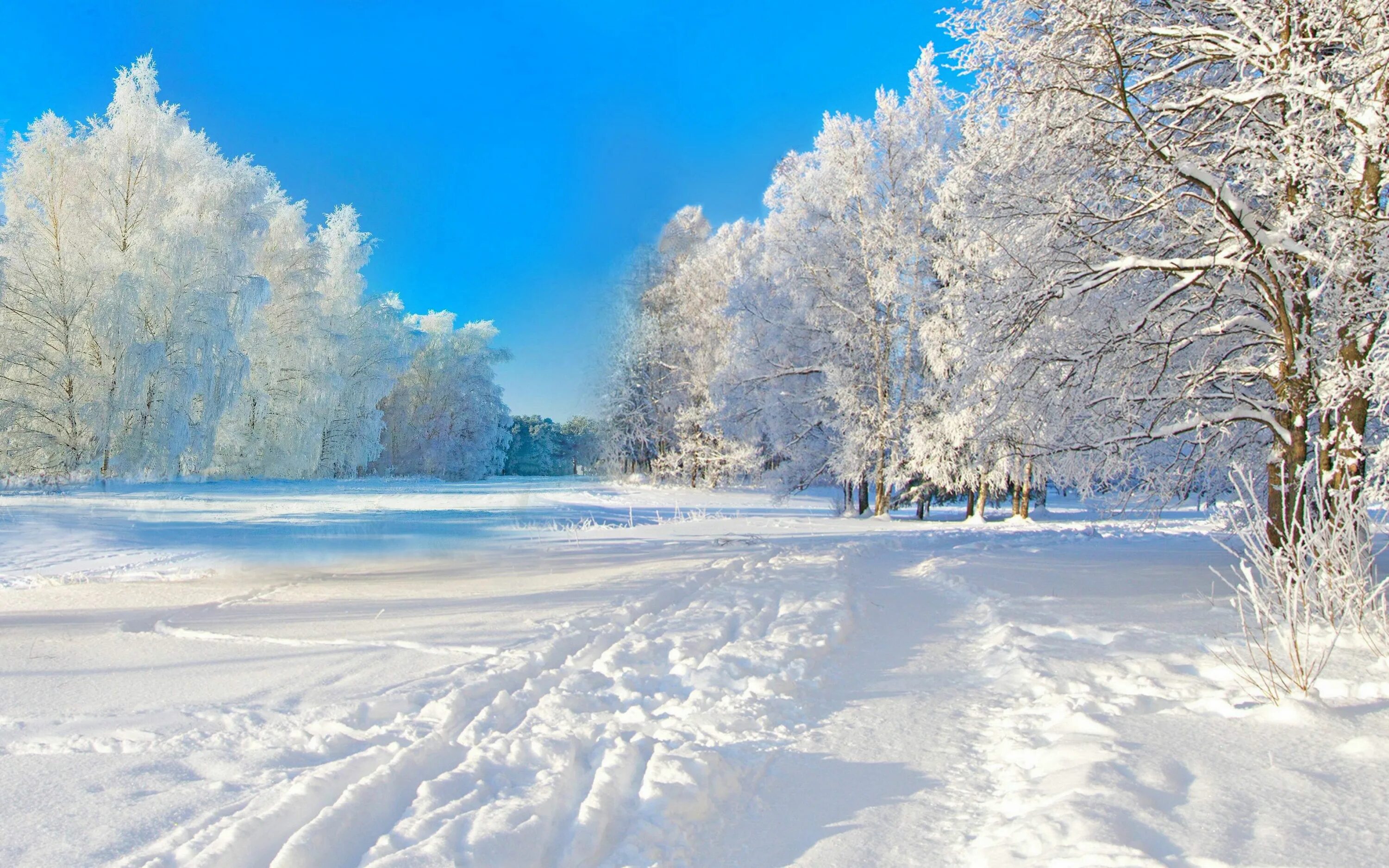 Зимние картинки. КИШ манзаралари. Зимний пейзаж. Зимняя природа. Снежная зима.