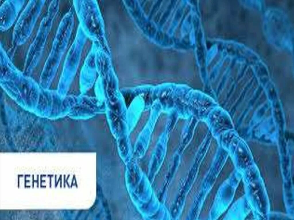 Как стать генетиком