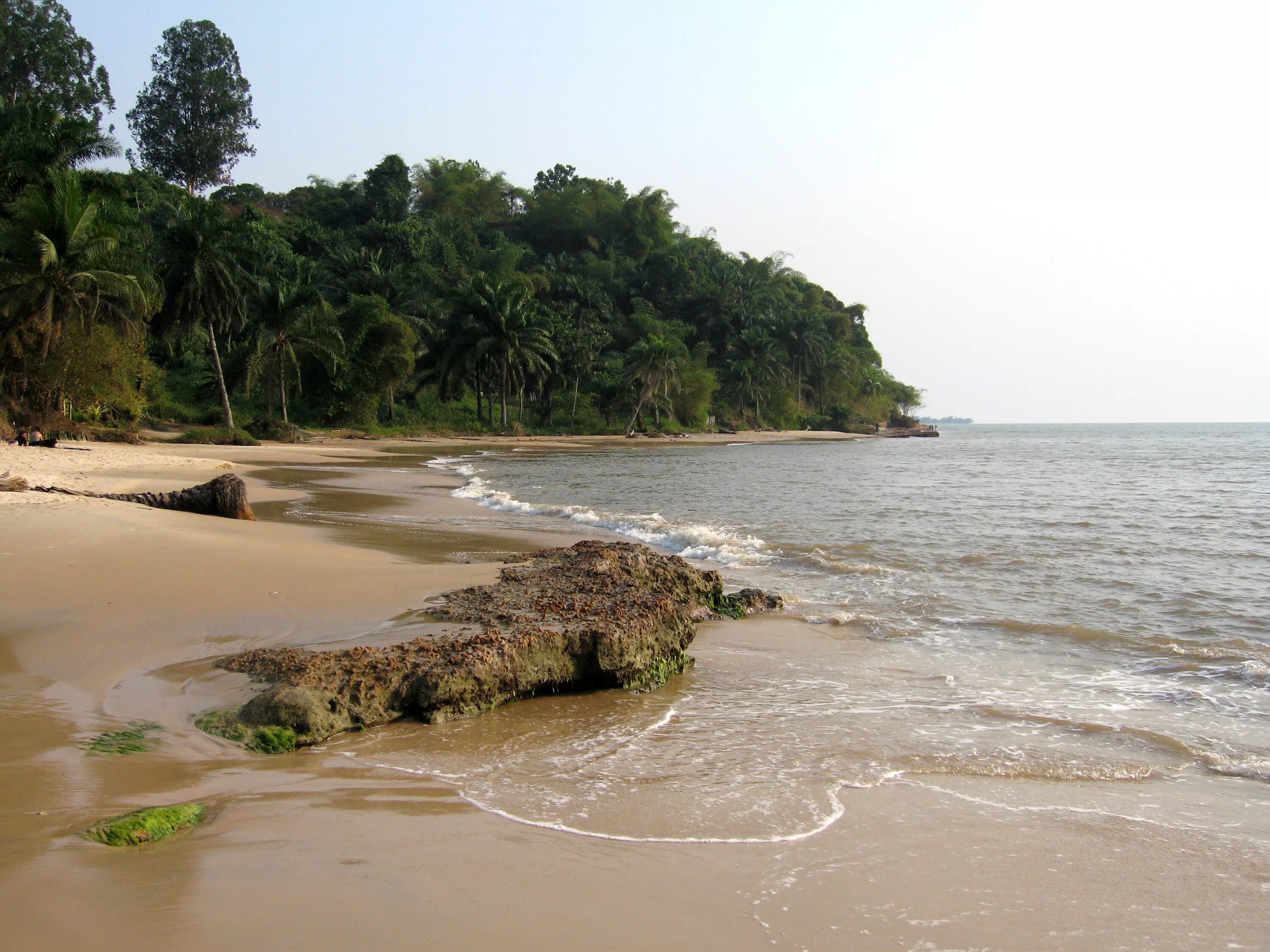 Деревня буя др конго. Конго луалаба. Демократическая республика конго река. Долина конго. Демократическая республика конго деревни.