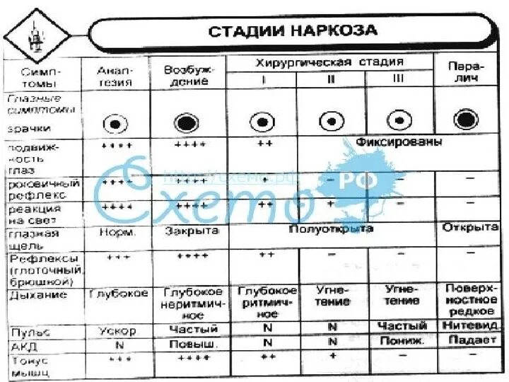 Хирургическая стадия наркоза. Наркоз таблица. Таблица стадий наркоза. Стадии эфирного наркоза. Стадии наркоза итаблиуа.